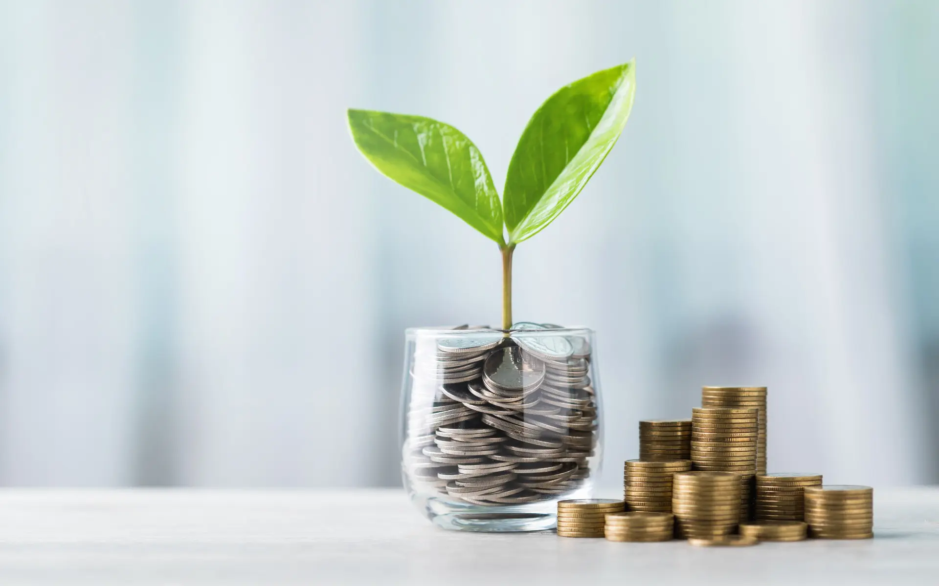 Image of a jar with coins and a seedling growing from it
